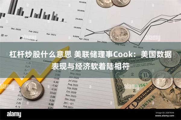 杠杆炒股什么意思 美联储理事Cook：美国数据表现与经济软着陆相符