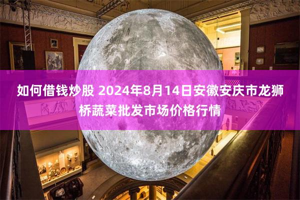 如何借钱炒股 2024年8月14日安徽安庆市龙狮桥蔬菜批发市场价格行情