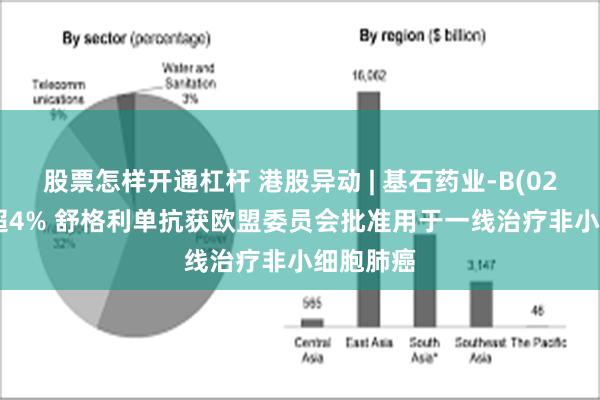 股票怎样开通杠杆 港股异动 | 基石药业-B(02616)涨超4% 舒格利单抗获欧盟委员会批准用于一线治疗非小细胞肺癌