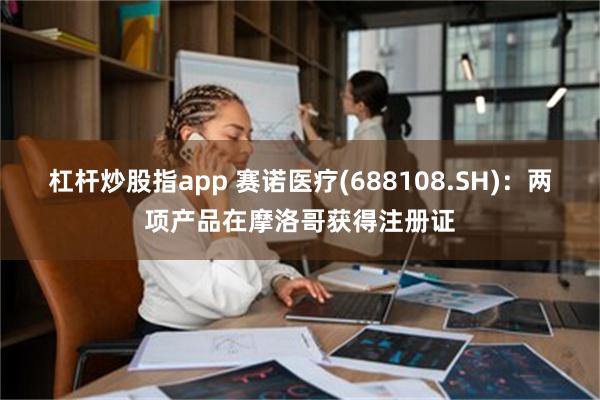 杠杆炒股指app 赛诺医疗(688108.SH)：两项产品在