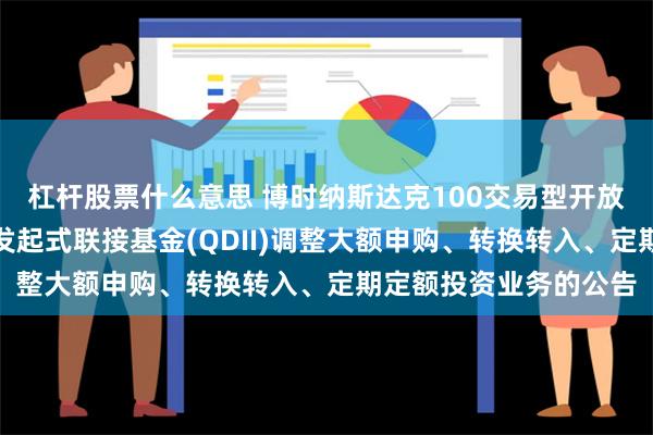 杠杆股票什么意思 博时纳斯达克100交易型开放式指数证券投资基金发起式联接基金(QDII)调整大额申购、转换转入、定期定额投资业务的公告