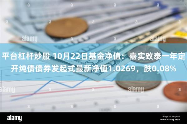 平台杠杆炒股 10月22日基金净值：嘉实致泰一年定开纯债债券发起式最新净值1.0269，跌0.08%