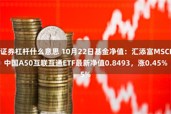 证券杠杆什么意思 10月22日基金净值：汇添富MSCI中国A50互联互通ETF最新净值0.8493，涨0.45%