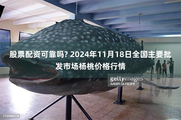 股票配资可靠吗? 2024年11月18日全国主要批发市场杨桃价格行情