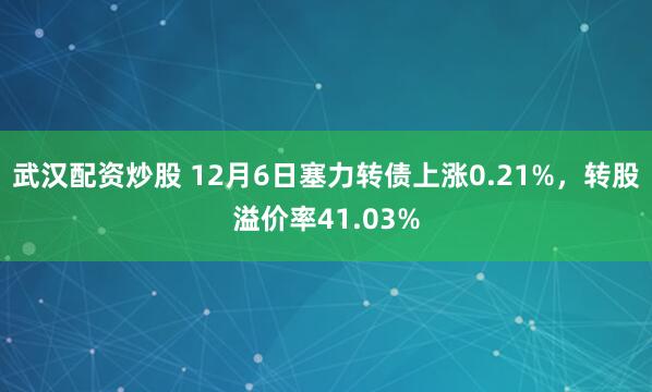 武汉配资炒股 12月6日塞力转债上涨0.21%，转股溢价率41.03%