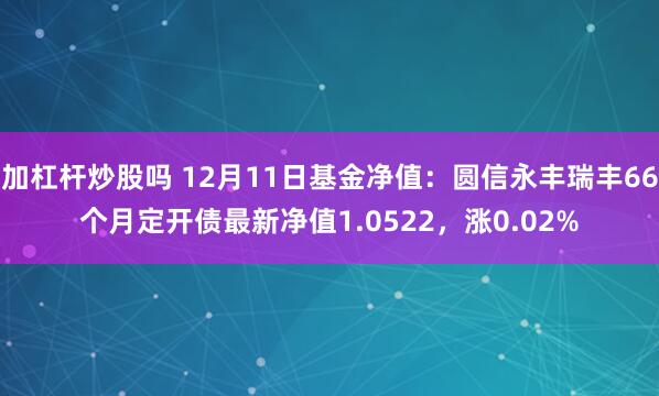 加杠杆炒股吗 12月11日基金净值：圆信永丰瑞丰66个月定开债最新净值1.0522，涨0.02%