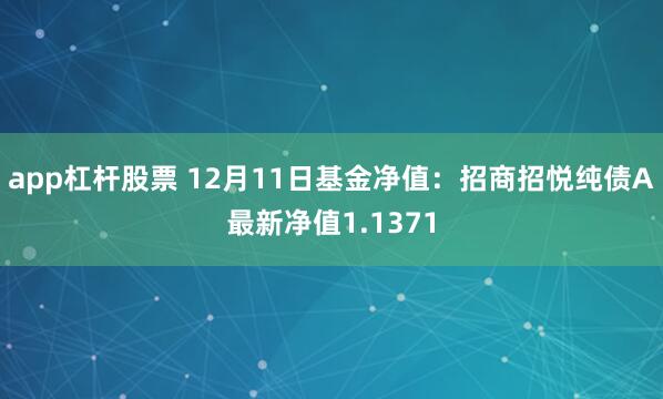 app杠杆股票 12月11日基金净值：招商招悦纯债A最新净值1.1371