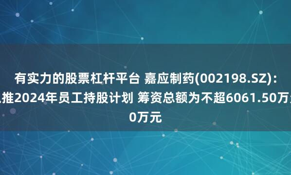 有实力的股票杠杆平台 嘉应制药(002198.SZ)：拟推2024年员工持股计划 筹资总额为不超6061.50万元