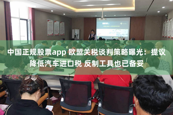 中国正规股票app 欧盟关税谈判策略曝光：提议降低汽车进口税 反制工具也已备妥