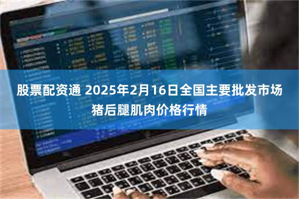 股票配资通 2025年2月16日全国主要批发市场猪后腿肌肉价格行情