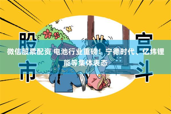 微信股票配资 电池行业重磅！宁德时代、亿纬锂能等集体表态