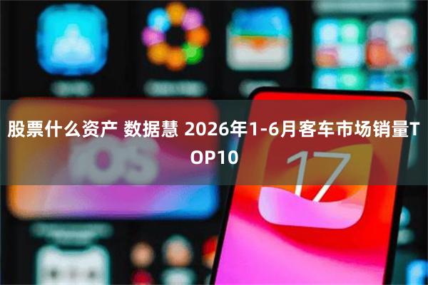 股票什么资产 数据慧 2026年1-6月客车市场销量TOP10
